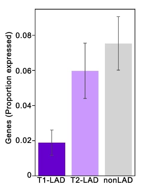 Open access visualization of Bar Plot, Error Bars, Gene Expression, LAD Category, Cell Types