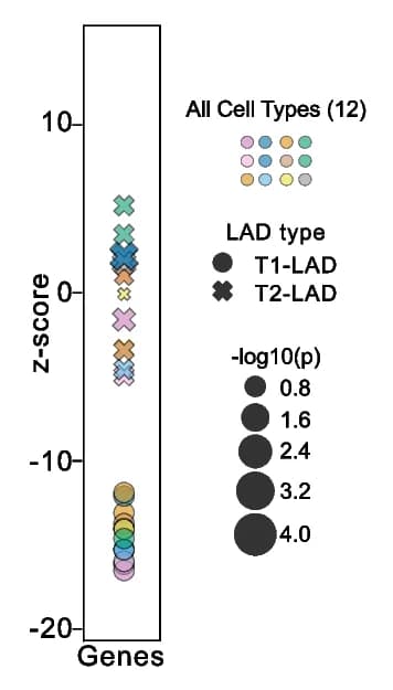 Open access visualization of Scatter Plot, Bubble Plot, Gene Enrichment, Gene Depletion, Cell Types