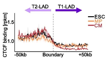 Open access visualization of Line Plot, Error Bars, T2-LADs, T1-LADs, CTCF Binding