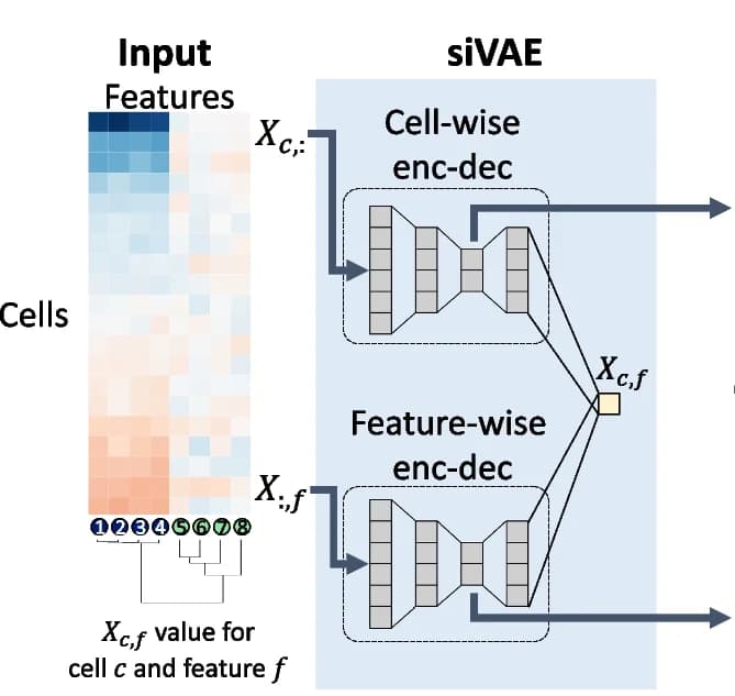 Open access visualization of Workflow, Flowchart, Heatmap, Gene expression matrix, Cell-embedding space