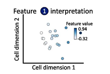 Open access visualization of Scatter Plot, Expression patterns, Cell-embedding space, Feature embedding space, Gene expression
