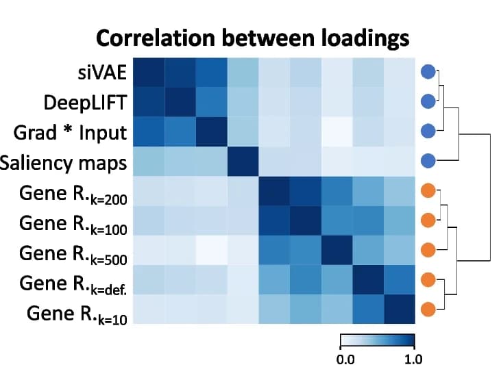 Open access visualization of Heatmap, Clustered, Pairwise Correlation, Interpretations, Loadings