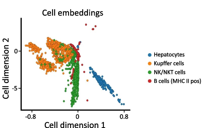 Open access visualization of Scatter Plot, UMAP, Cell-embedding space, siVAE, Fetal liver atlas dataset
