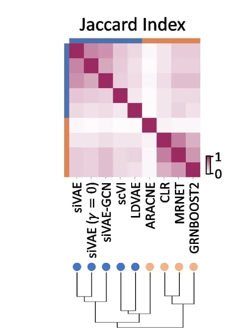 Open access visualization of Heatmap, Clustered, Jaccard Index, Neighborhood Genes