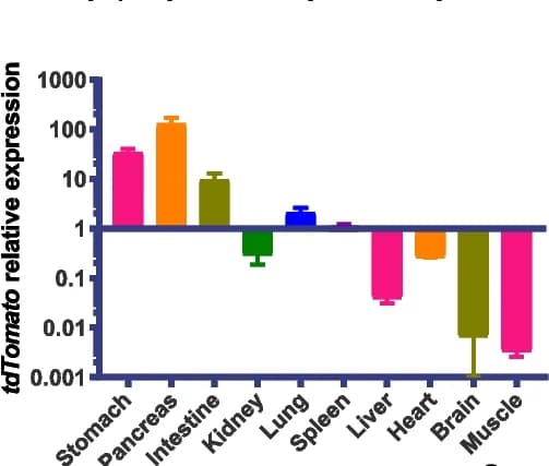 Open access visualization of Bar Plot, Error Bars, SpCas9, DIC Pigs, Dox