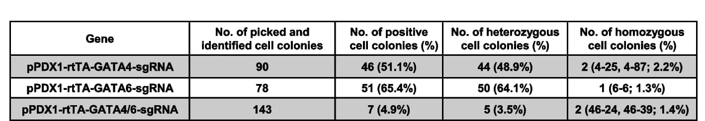 Open access visualization of Table Image, Cell screening, GATA4, GATA6, Gene knockout