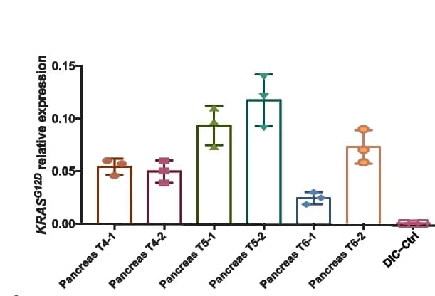 Open access visualization of Bar Plot, Error Bars, Scatter Plot, Q-PCR, h KRAS G12D