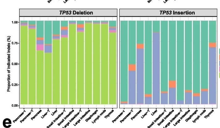 Open access visualization of Stacked Bar Plot, Indel Size, TP53 -gRNA, Metastatic Organs, DIC Pig