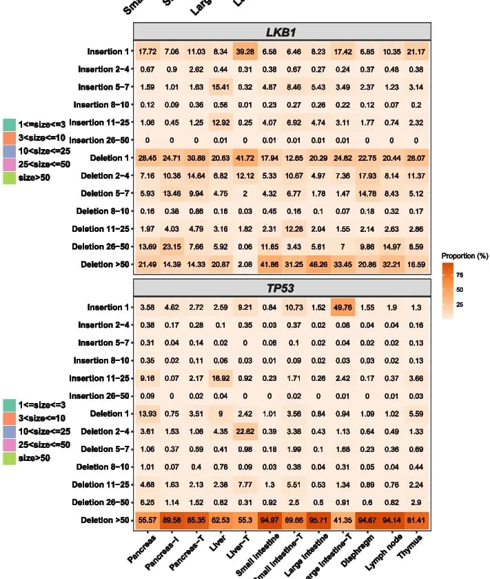 Open access visualization of Heatmap, Heatmap Analysis, Indel Length Distribution, Indel Proportion, LKB1