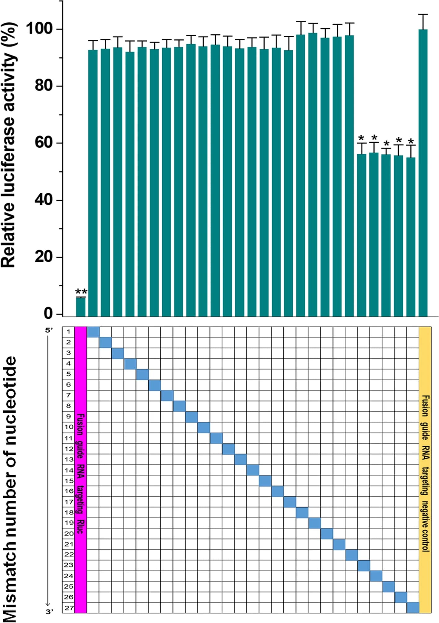 Open access visualization of Bar Plot, Error Bars, CCRS knockdown, Rluc, Antisense sequence