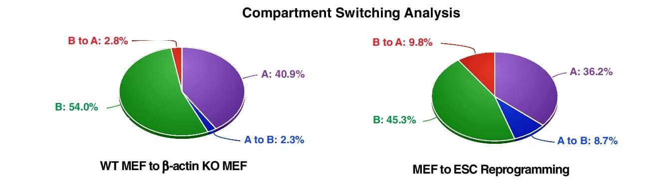Open access visualization of Pie Chart, Pie Charts, Switching Compartments, Stable Compartments