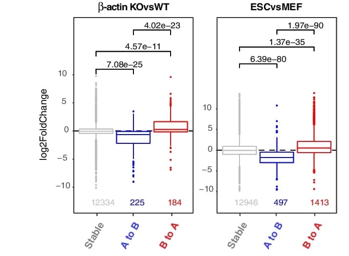 Open access visualization of Box Plot, Scatter Plot, Boxplots, RNA-Seq Expression, Genes