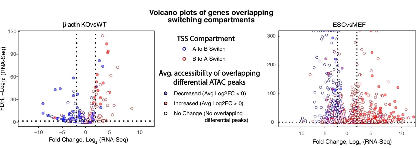 Open access visualization of Volcano Plot, Volcano Plots, Expression, Accessibility, Compartment