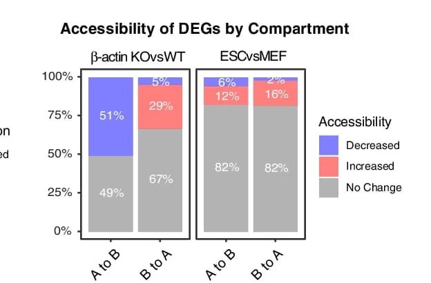 Open access visualization of Stacked Bar Plot, Bar Plots, Differentially Expressed Genes, Accessibility, Switching Compartments
