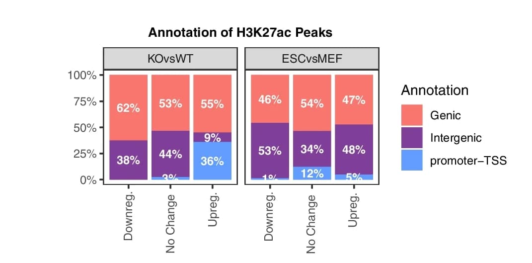 Open access visualization of Stacked Bar Plot, Barplots, H3K27ac Peaks, Upregulated Peaks, Downregulated Peaks