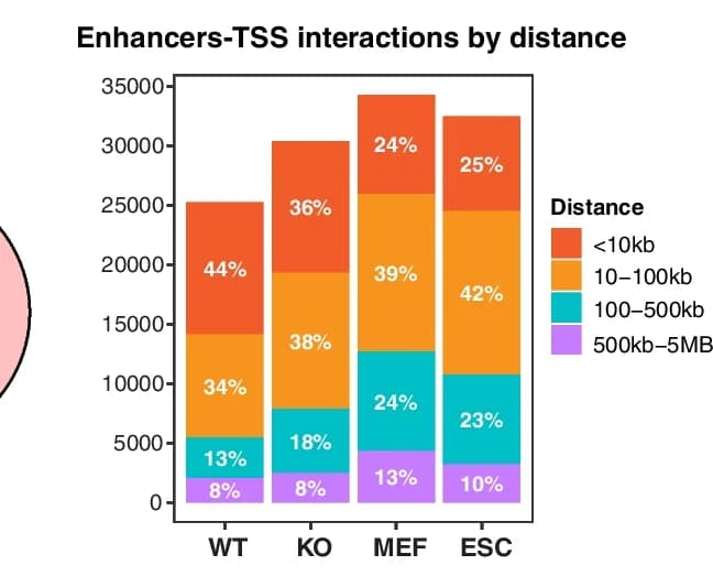 Open access visualization of Stacked Bar Plot, Enhancer-Promoter Contacts, Distance