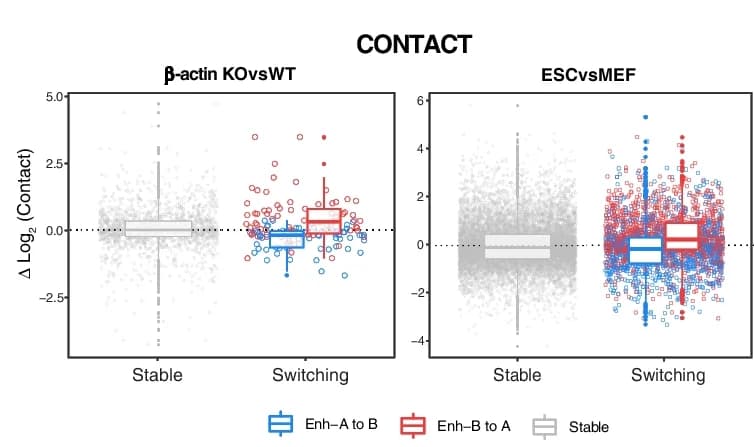 Open access visualization of Box Plot, Scatter Plot, Raincloud Plot, Scatterplots, Enhancers