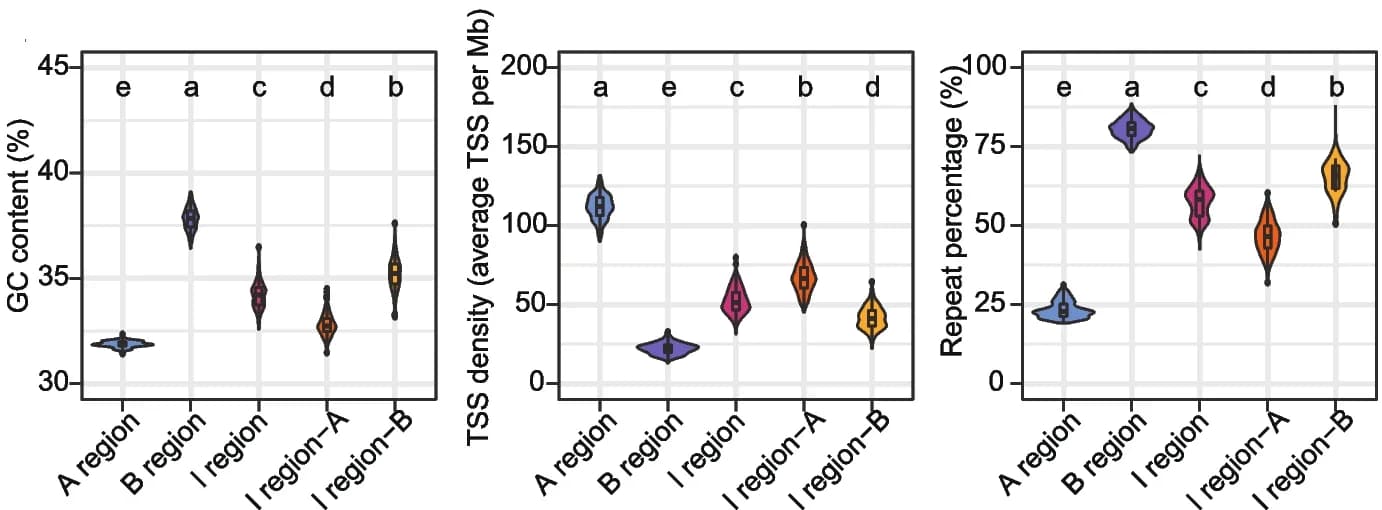 Open access visualization of Violin Plot, Box Plot, GC contents, TSS densities, Repeat percentages