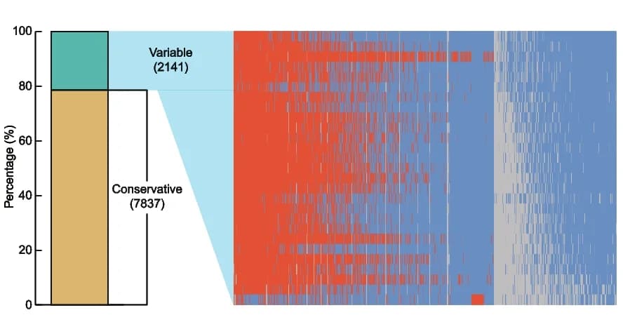 Open access visualization of Bar Plot, Heatmap, Conservative Compartments, Variable Compartments, Soybean Accessions