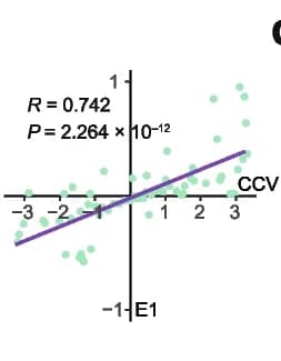 Open access visualization of Scatter Plot, Regression Plot, Correlation Analysis, CCVs, E1 Values