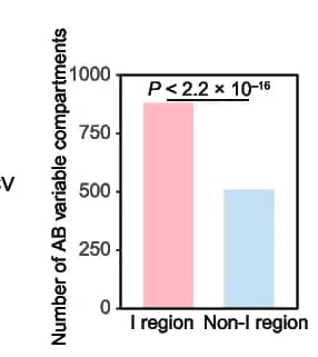 Open access visualization of Bar Plot, AB Variable Compartments, I Regions, Non-I Regions, Fisher's Exact Test