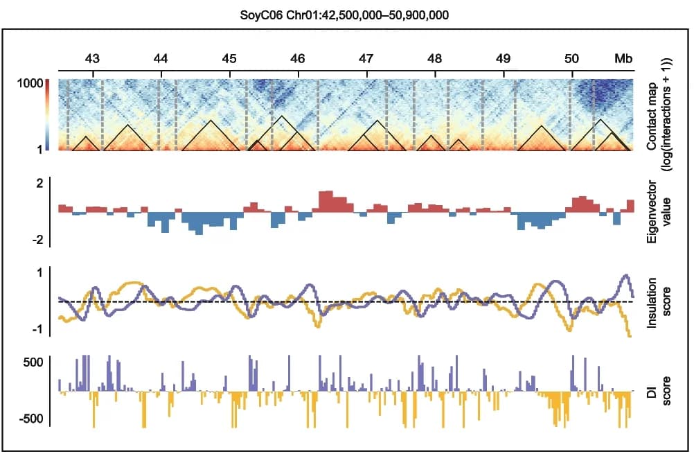 Open access visualization of Heatmap, Bar Plot, Line Plot, Hi-C Contact Map, Eigenvectors