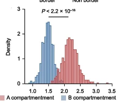 Open access visualization of Histogram, Bar Plot, TAD Boundary Density, A Compartments, B Compartments