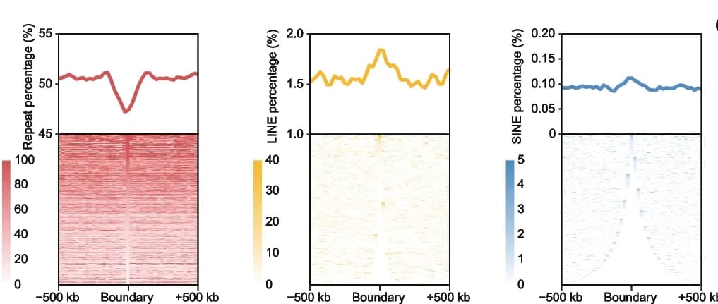 Open access visualization of Heatmap, Line Plot, Repeat Elements, LINE Elements, SINE Elements