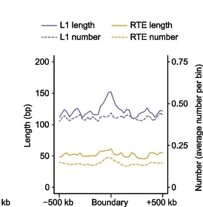 Open access visualization of Line Plot, Line Step, L1 Fragments, RTE Fragments, TAD Boundaries