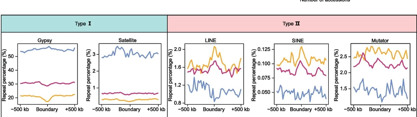 Open access visualization of Line Plot, Repeat Elements, Core TAD Boundaries, Dispensable TAD Boundaries, Private TAD Boundaries