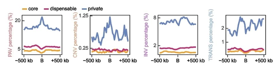 Open access visualization of Line Plot, Conservative Compartments, Variable Compartments, PAV, CNV