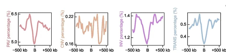 Open access visualization of Line Plot, Structural Variations, TAD Boundaries