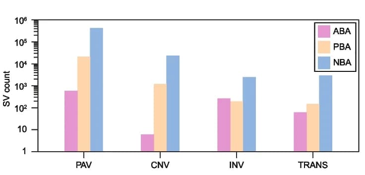 Open access visualization of Bar Plot, Clustered, Structural Variations, ABA, PBA