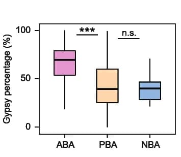 Open access visualization of Box Plot, Gypsy Elements, ABA, PBA, NBA