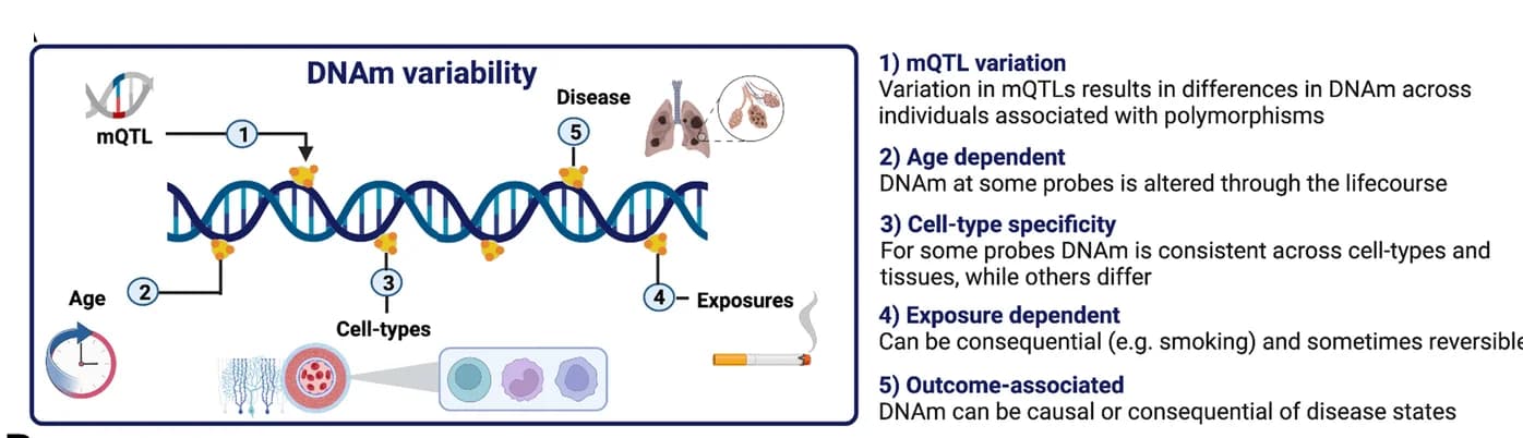 Open access visualization of Illustration, Workflow, DNA Methylation, Measurements, Scoring Approaches