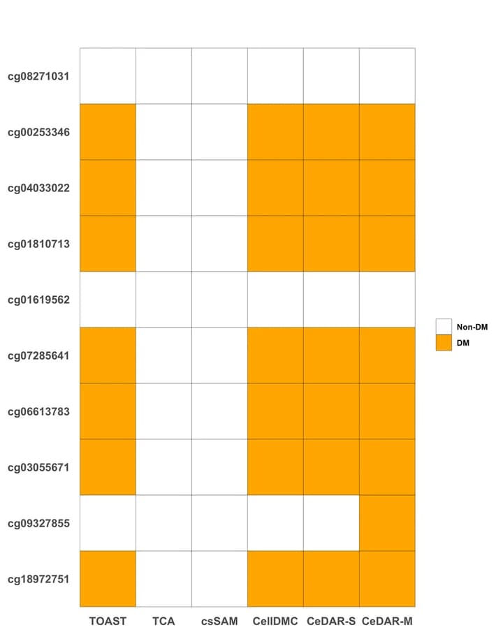 Open access visualization of Heatmap, csDMCs, B Cells, DNA Methylation
