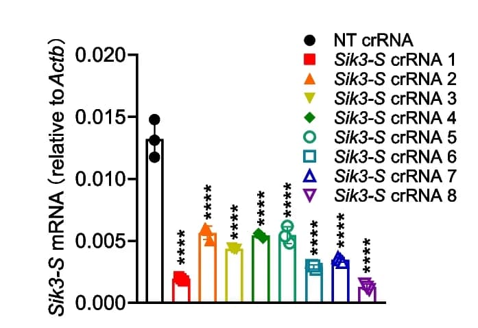 Open access visualization of Bar Plot, Error Bars, RT-qPCR, crRNAs, SIK3