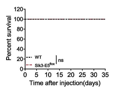 Open access visualization of Line Plot, Survival Curve, RT-qPCR, Knockdown Efficiency, Map2 crRNAs