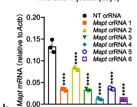 Open access visualization of Bar Plot, Error Bars, RT-qPCR, Knockdown Efficiency, Mapt crRNAs