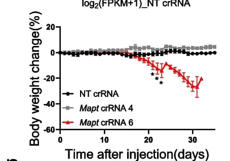 Open access visualization of Line Plot, Error Bars, Body Weight Change, Mice, PHP.eB