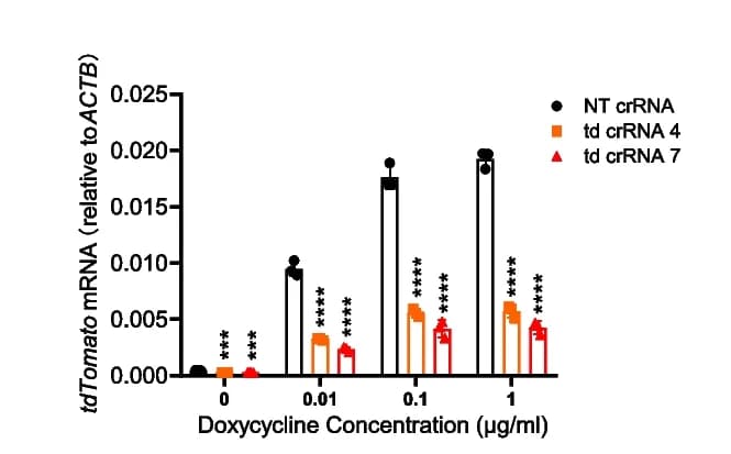 Open access visualization of Bar Plot, Error Bars, RT-qPCR, mRNA Level, tdTomato
