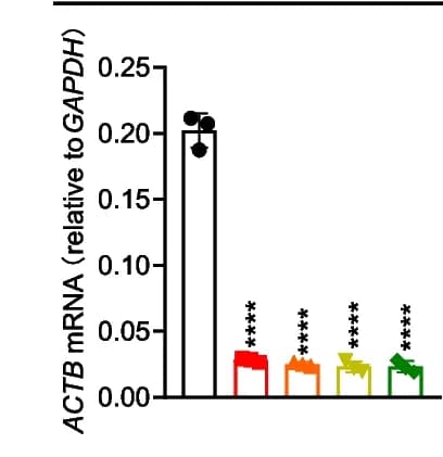 Open access visualization of Bar Plot, Error Bars, RT-qPCR, Knockdown Efficiency, ACTB