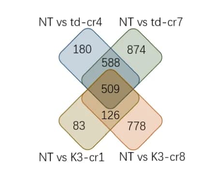 Open access visualization of Venn Diagram, DEGs, Schematic Illustration
