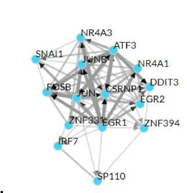 Open access visualization of Network, Pathway, Transcription Factor, ChEA3, Enrichment Analysis