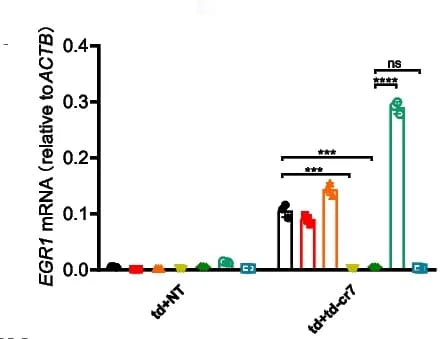 Open access visualization of Bar Plot, Error Bars, RT-qPCR, RNA, EGR1
