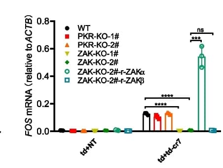 Open access visualization of Bar Plot, Error Bars, RT-qPCR, RNA, EGR1