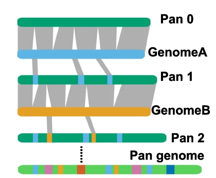 Open access visualization of Sankey, Linearized Pangenome, Genome Alignment, Novel Segment Identification, Reference Genome Integration