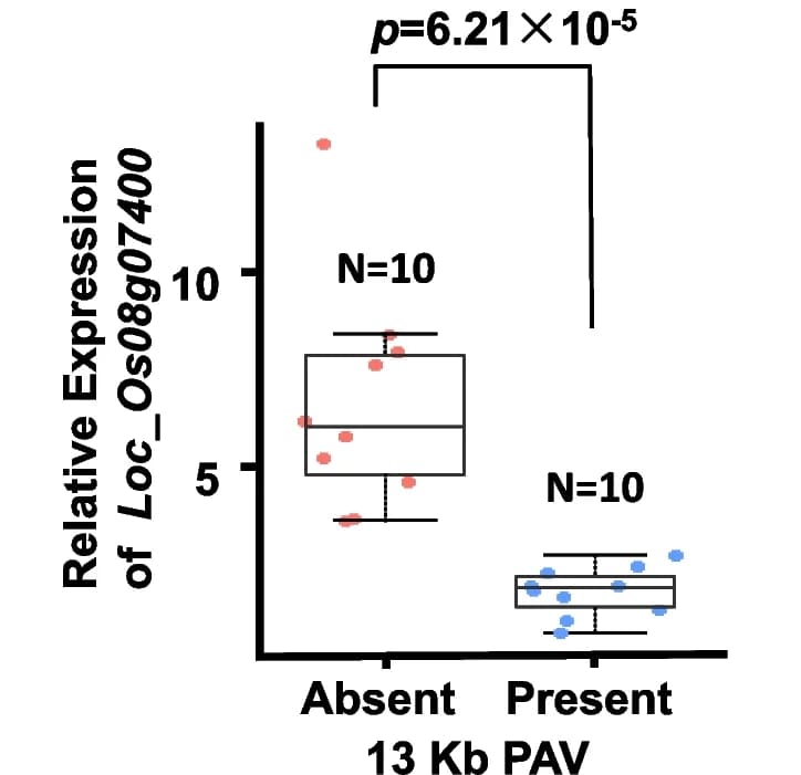 Open access visualization of Box Plot, Scatter Plot, Expression Level, Accessions, Insertion