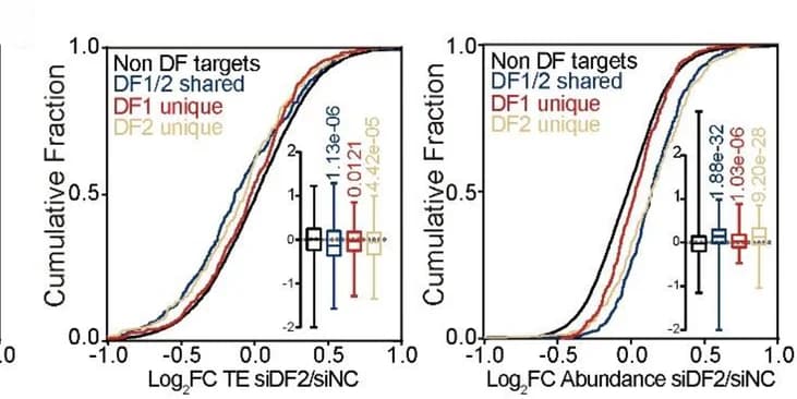 Open access visualization of Line Plot, Box Plot, RNA translation efficiency, RNA abundance, YTHDF2