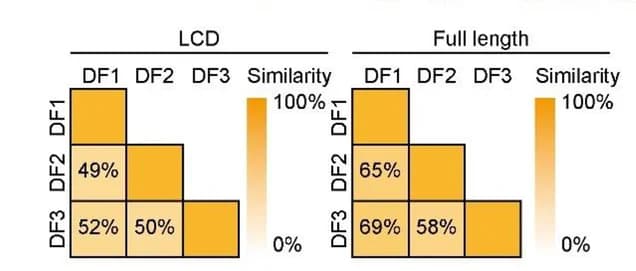 Open access visualization of Heatmap, Heatmaps, Similarity scores, YTHDF LCDs, Full-length proteins